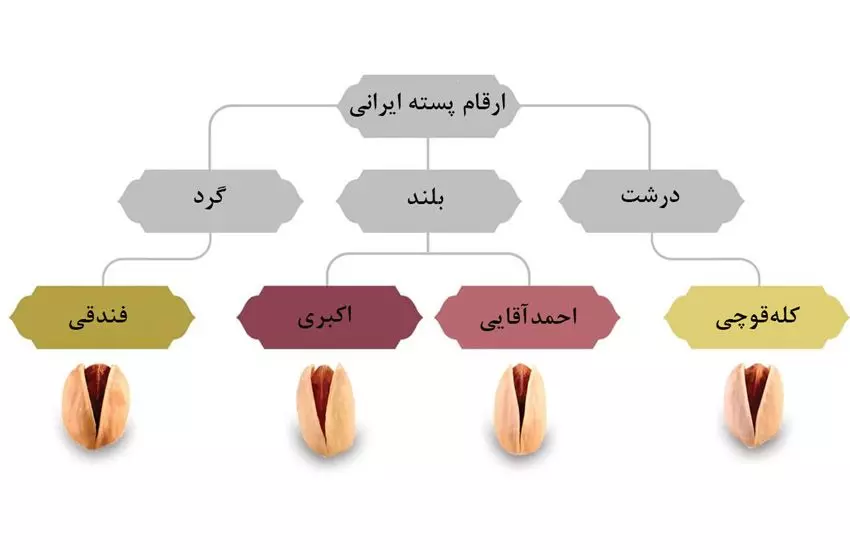 Types of hips